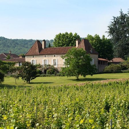Chateau Gautoul Puy-l'Eveque Luaran gambar